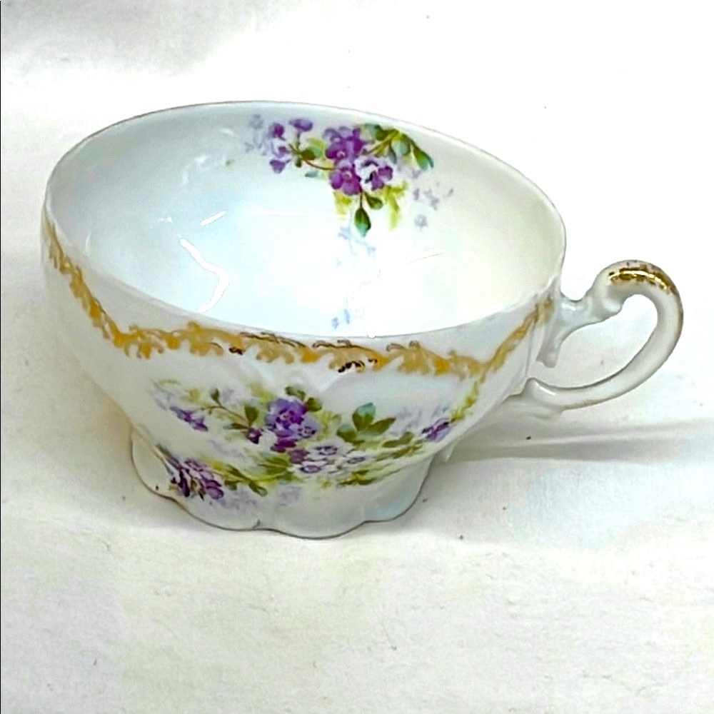 Vintage Floral eggshells Teacup with Gold Accents made in Germany